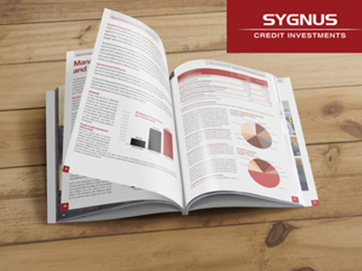 Sygnus 2020 Annual Report 02